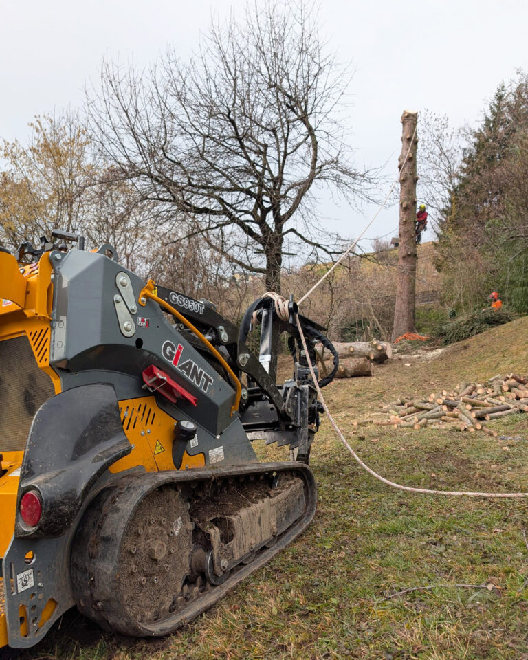 Giant GS950T_1